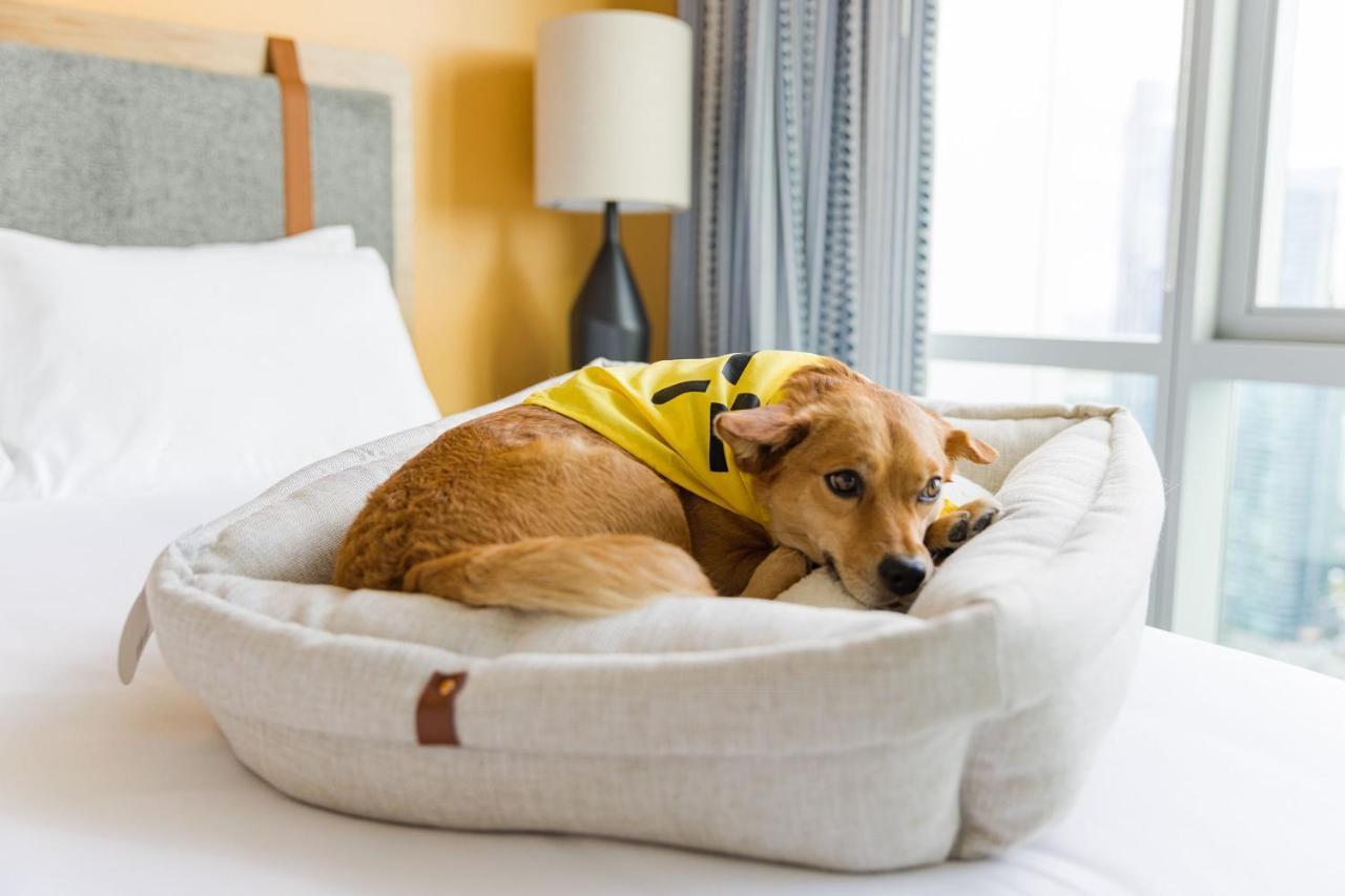 Sentral Michigan Avenue Aparthotel Чикаго Екстериор снимка A dog in a dog bed